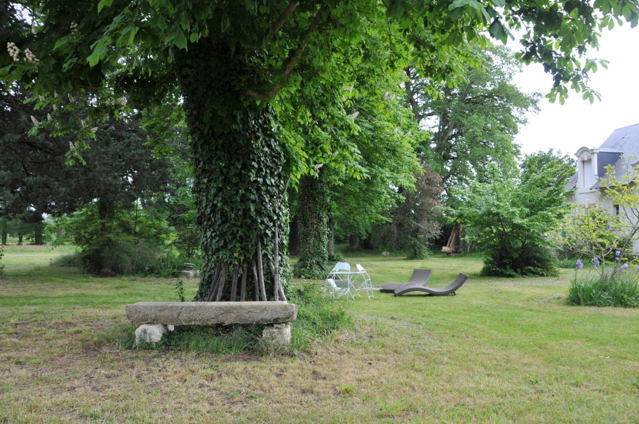 L'orangerie Du Chateau - Le Nid - 2 Personnes